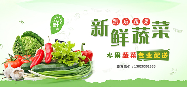 天津蔬菜批发 天津蔬菜批发